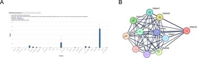 Novel bi-allelic DNAH3 variants cause oligoasthenoteratozoospermia